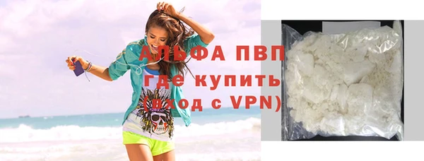 стаф Краснослободск