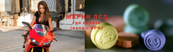 стаф Краснослободск