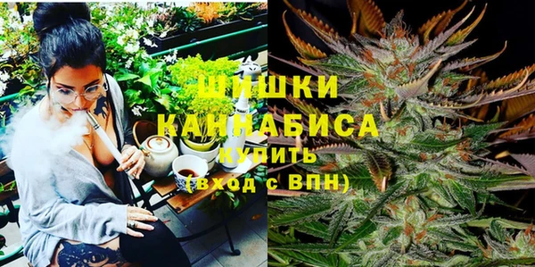 мдпв Краснотурьинск