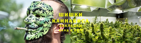 мдпв Краснотурьинск