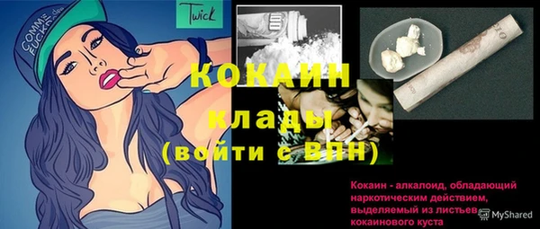 стаф Краснослободск